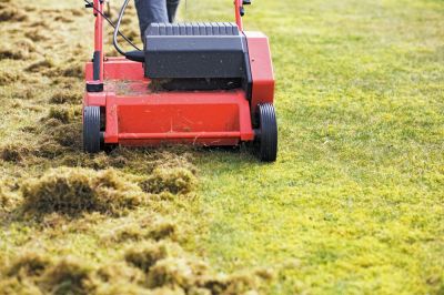 Enhance Air Circulation with Dethatching!