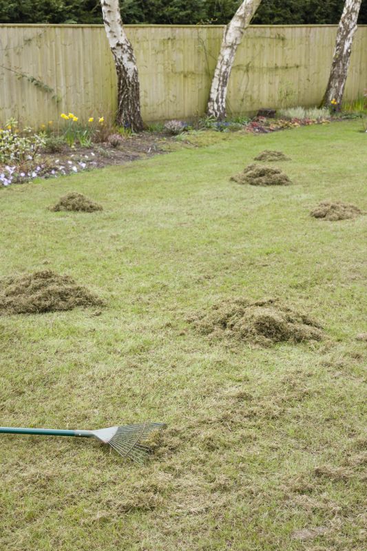 Dethatching Service