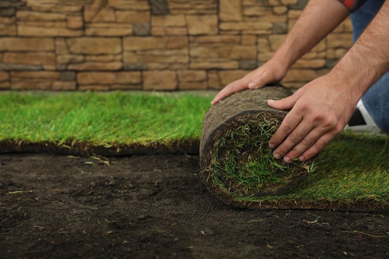 Bentgrass Sod Installation in Rockwall, TX