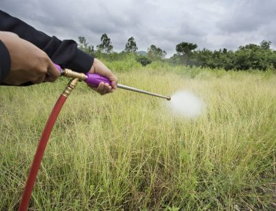 Crabgrass Prevention in Honolulu, HI