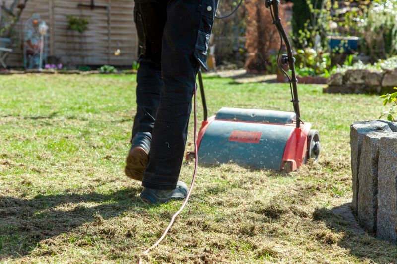 Dethatching Service Cost — Cost of Dethatching Service