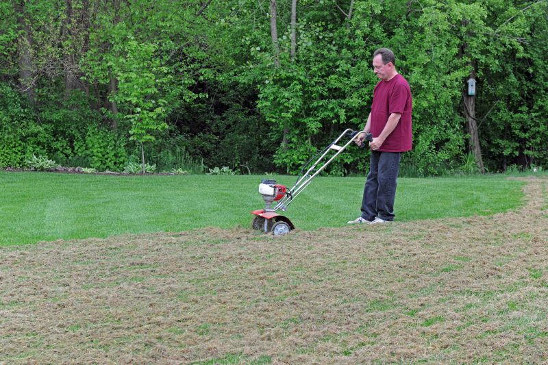 Dethatching Service Cost — Cost of Dethatching Service
