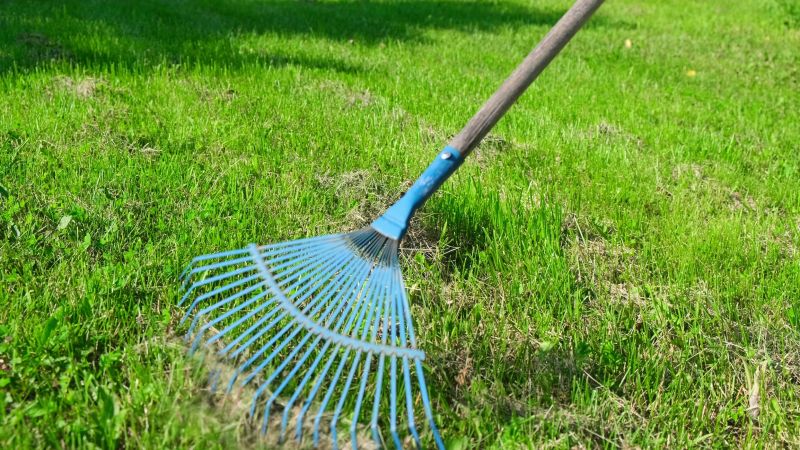 Lawn Maintenance Tools