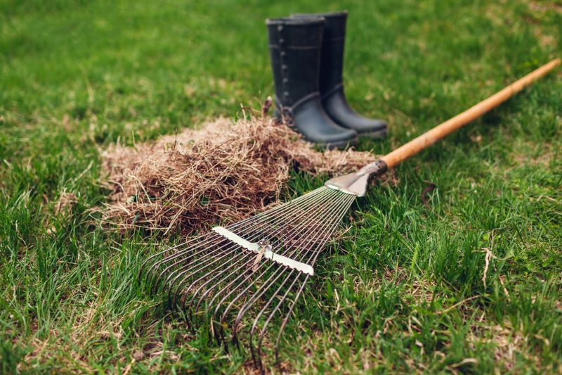 Dethatching Service