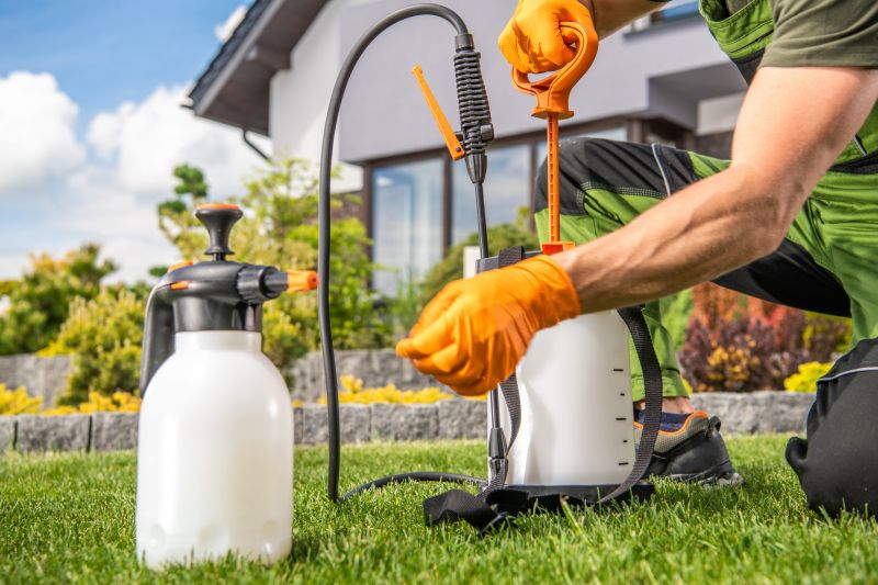 Lawn Moss Control in Honolulu, HI