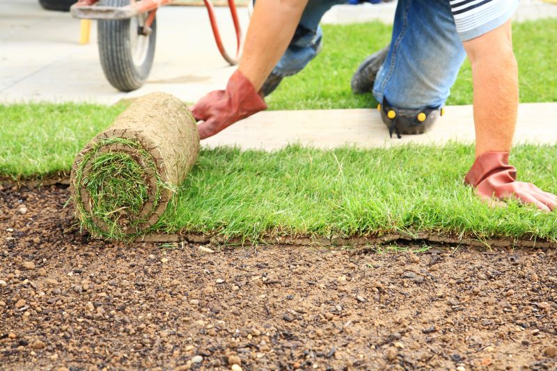 Lawn Sodding in Ventura County, CA