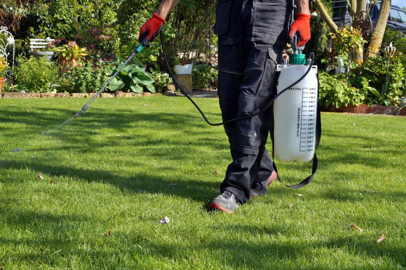 Pampas Grass Control in Honolulu, HI
