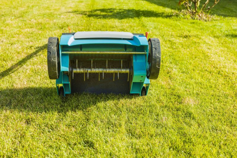 Lawn Aeration Process