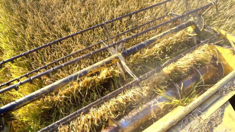 Aeration Equipment in Action