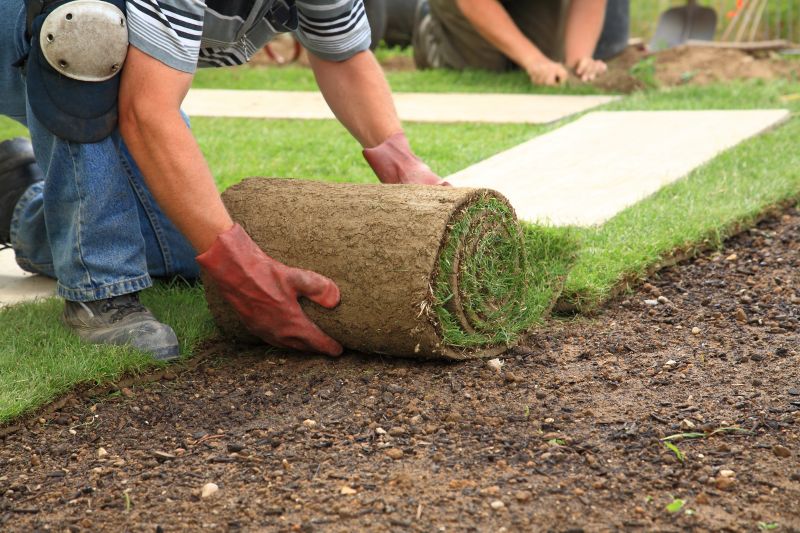 Ryegrass Sod Installation in Ventura County, CA