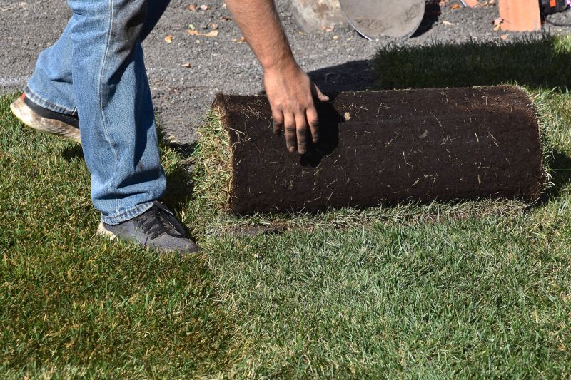 Sod Replacement in Honolulu, HI