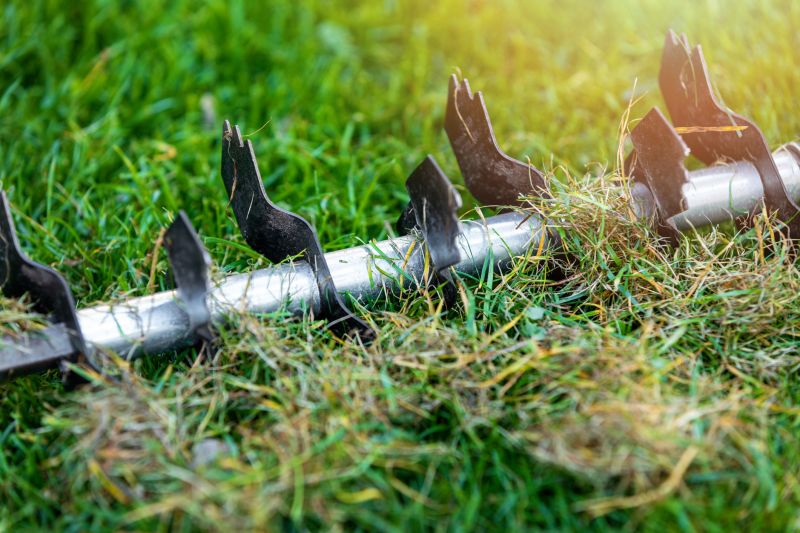 Specialized Dethatching Services