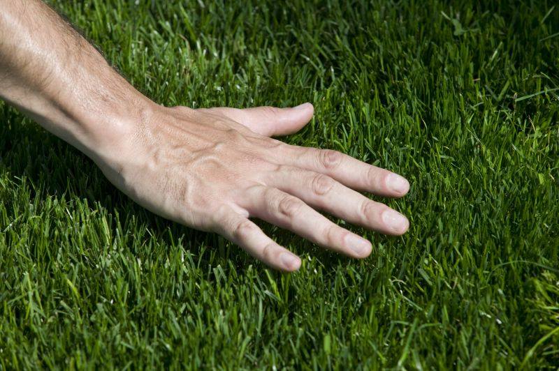 Zoysia Grass Installation in Ventura County, CA