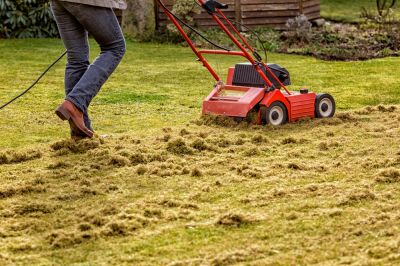 Improve Water and Nutrient Penetration with Dethatching!