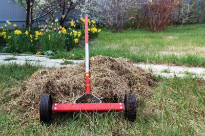 Remove Thatch from Your Grass!